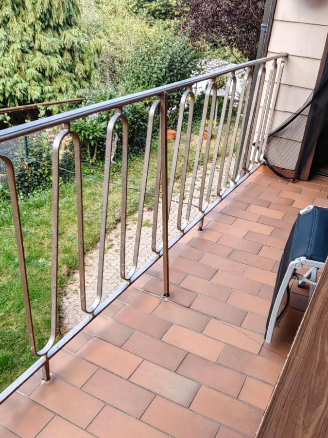 Ferienwohnung Speicher ザールブリュッケン エクステリア 写真